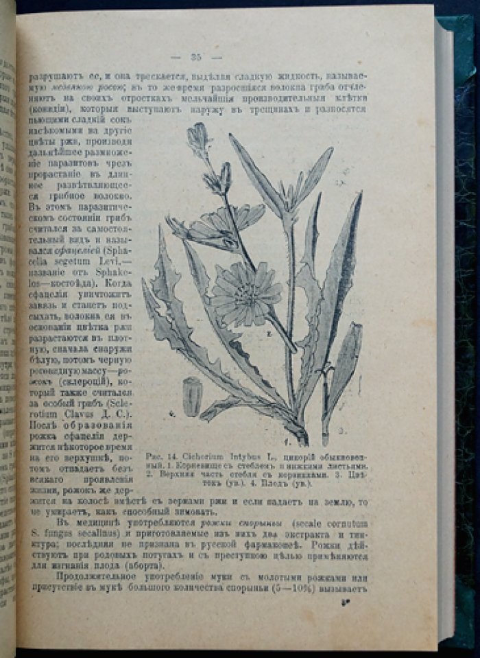Русские лекарственные растения: полное практическое руководство (2 тома в одном переплёте)