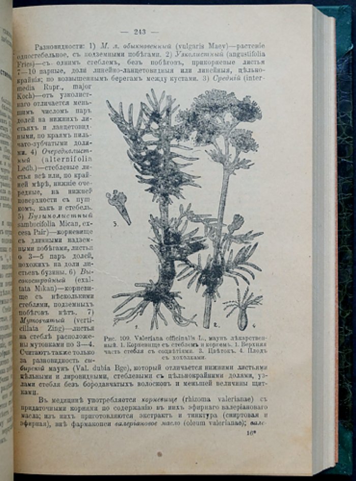 Русские лекарственные растения: полное практическое руководство (2 тома в одном переплёте)