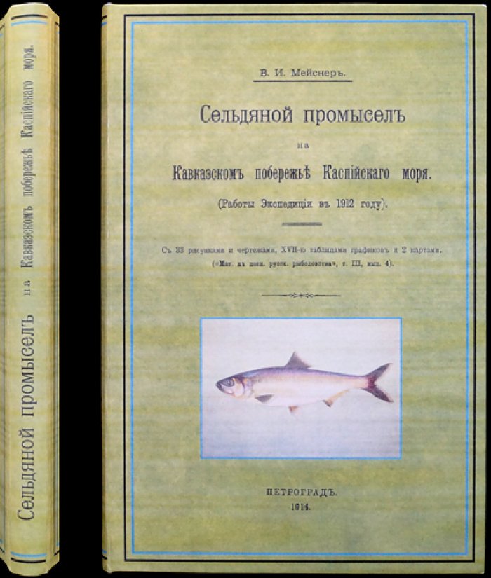Сельдяной промысел на Кавказском побережье Каспийского моря: итоги экспедиции 1912 года (техника, уловы, статистика)
