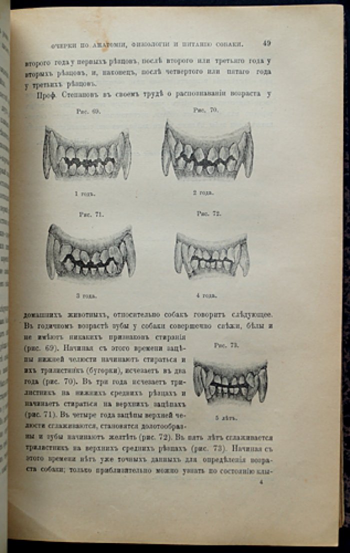 «Природа и охота». 1902. Комплект за второе полугодие (Книги VII–XII: июль–декабрь)