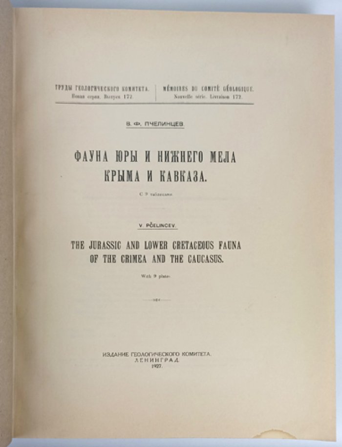 Фауна юры и нижнего мела Крыма и Кавказа: монография В.Ф. Пчелинцева (Труды Геологического комитета, Новая серия, вып. 172)