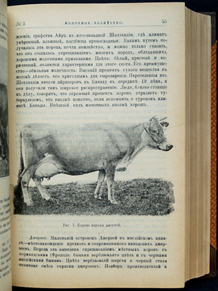 Молочное хозяйство и скотоводство: полный комплект журнала за 1912 год (50 номеров)