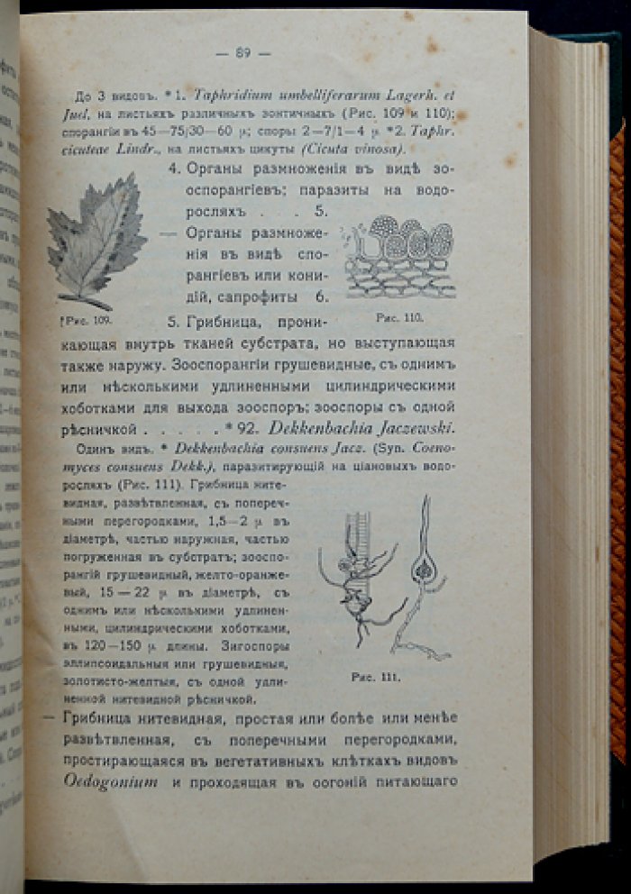 Определитель грибов. Полный комплект: Том I (Совершенные грибы) и Том II (Несовершенные грибы), 2-е изд. (переработанное и расширенное)