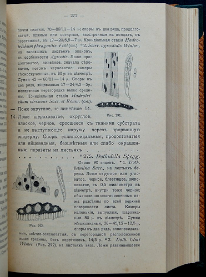 Определитель грибов. Полный комплект: Том I (Совершенные грибы) и Том II (Несовершенные грибы), 2-е изд. (переработанное и расширенное)