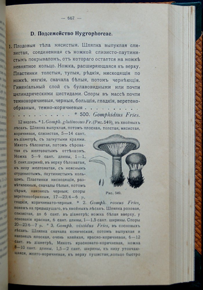 Определитель грибов. Полный комплект: Том I (Совершенные грибы) и Том II (Несовершенные грибы), 2-е изд. (переработанное и расширенное)