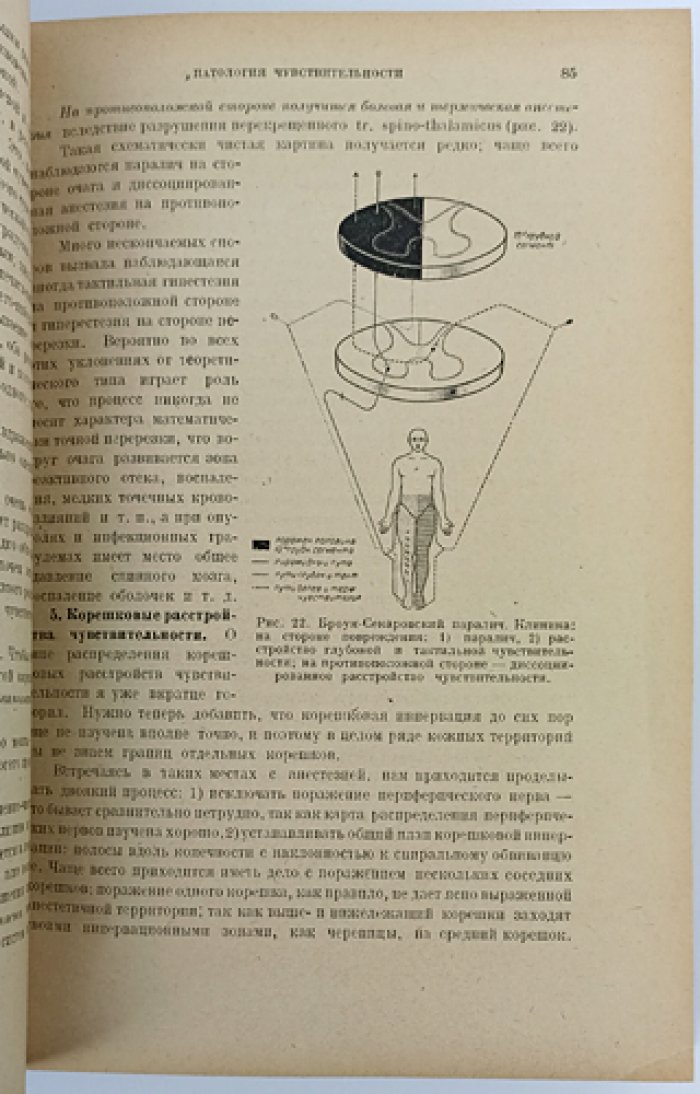 Курс нервных болезней. Классическое руководство по общей и специальной неврологии (1930)