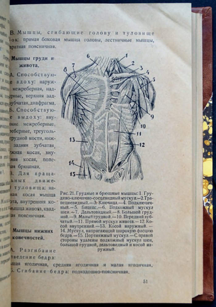 Теория физической культуры. В 3 томах (в одном переплёте). Основные понятия. Систематика. Практическое применение
