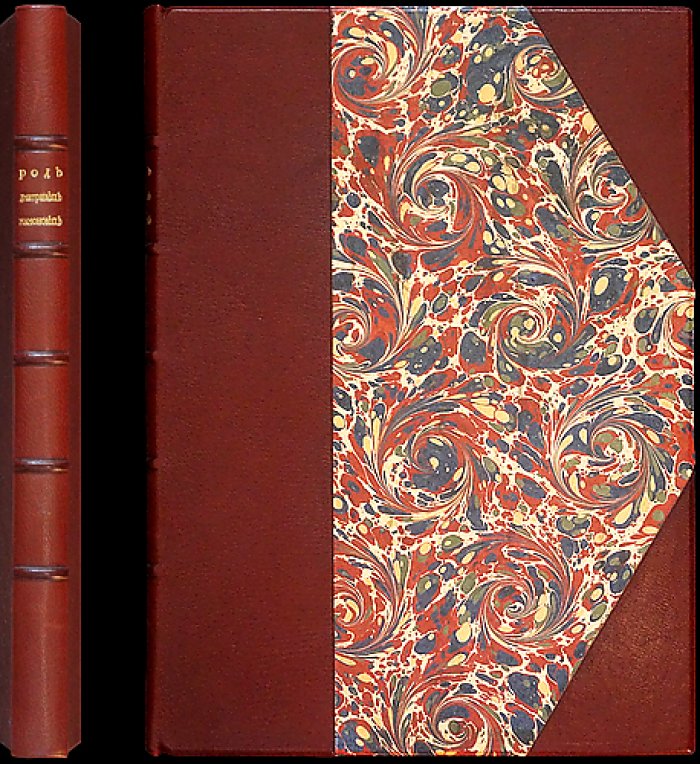 Дмитриевы-Мамоновы: родословная, гербы и грамоты (СПб., 1912)