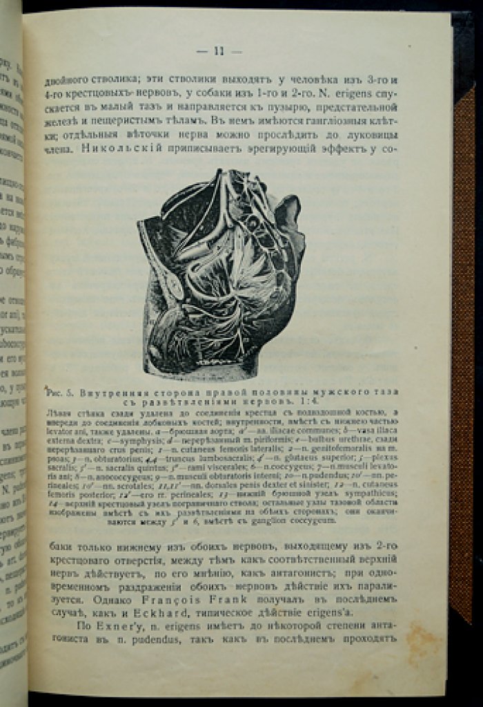 «Половое бессилие»: клинико-анатомическое исследование с 54 рисунками (первое издание, 1915)