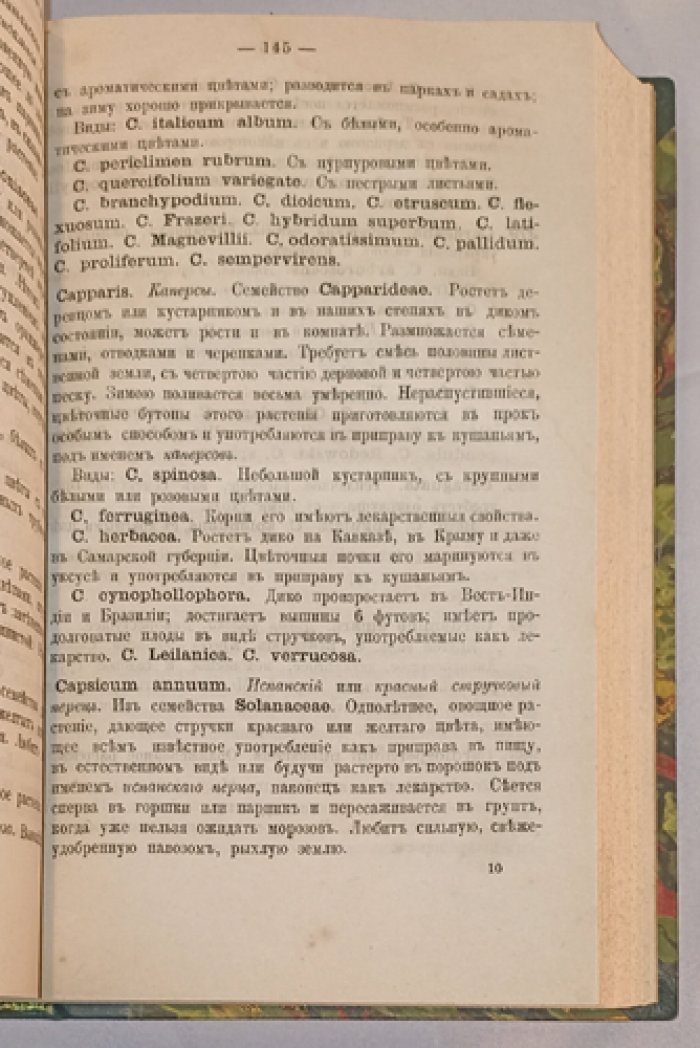 Словарь растений: дикорастущие и разводимые на огородах, в комнатах, садах, теплицах и оранжереях (с уходом и отличительными признаками)