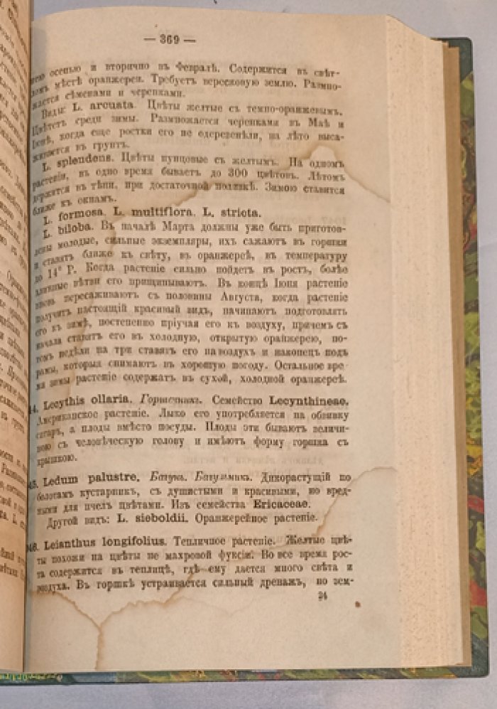 Словарь растений: дикорастущие и разводимые на огородах, в комнатах, садах, теплицах и оранжереях (с уходом и отличительными признаками)