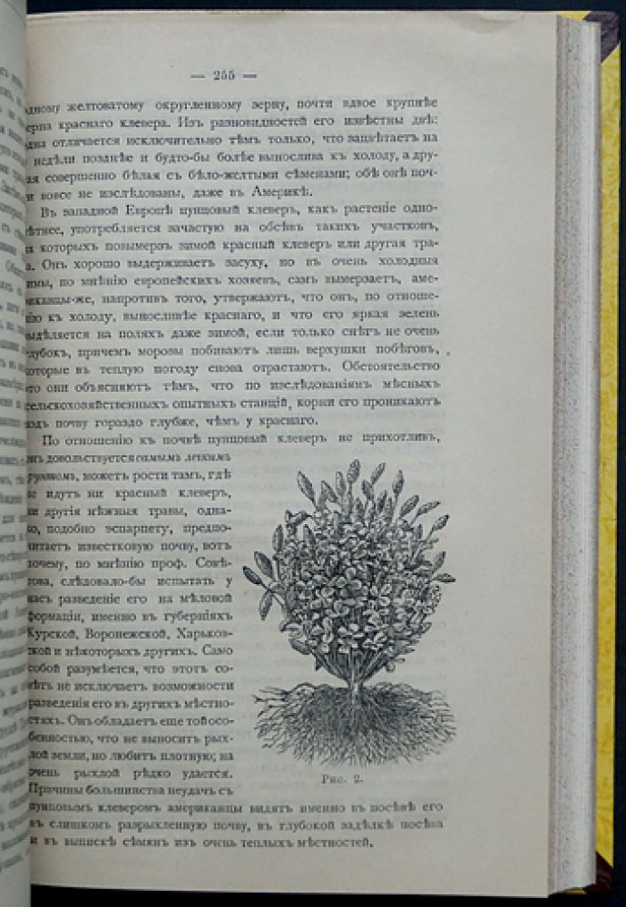 Вестник Русского общества пчеловодства (полный комплект за 1895–1896 гг., под ред. С.П. Глазенапа)