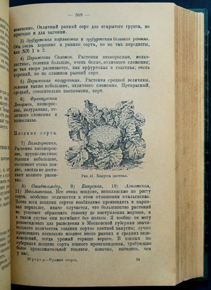 Русский огород, питомник и плодовый сад: практическое руководство (издание 1929)
