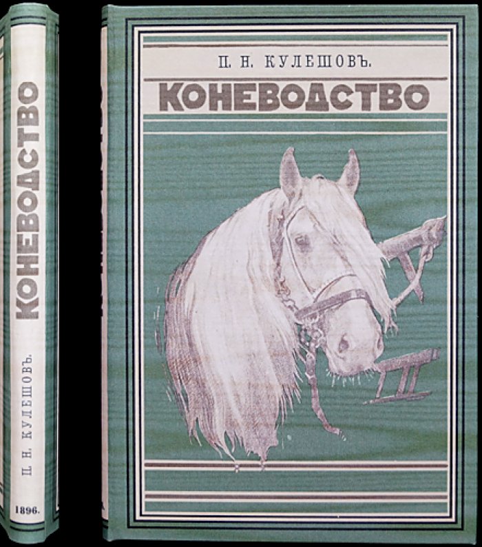 Коневодство. Учебное руководство по коннозаводской практике (3-е, дополненное и исправленное издание, 1896)