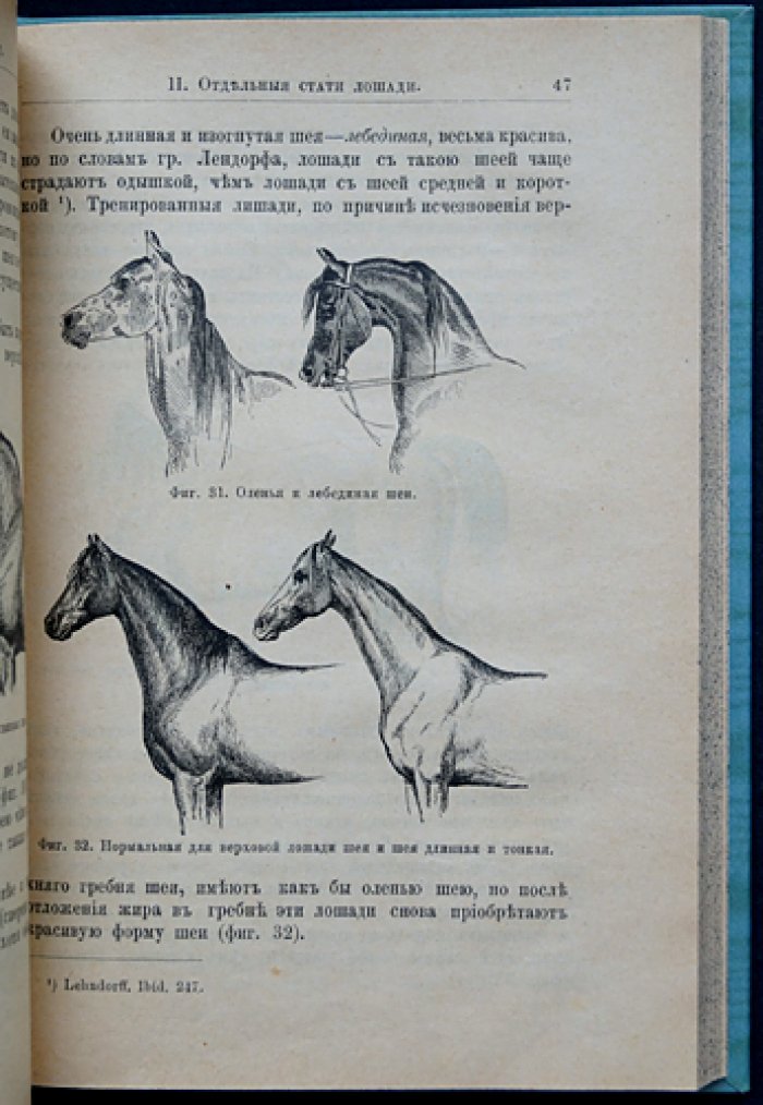 Коневодство. Учебное руководство по коннозаводской практике (3-е, дополненное и исправленное издание, 1896)
