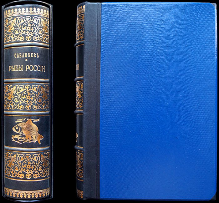 Рыбы России. Жизнь и ловля (уженье) пресноводных рыб (3-е издание, 1911)