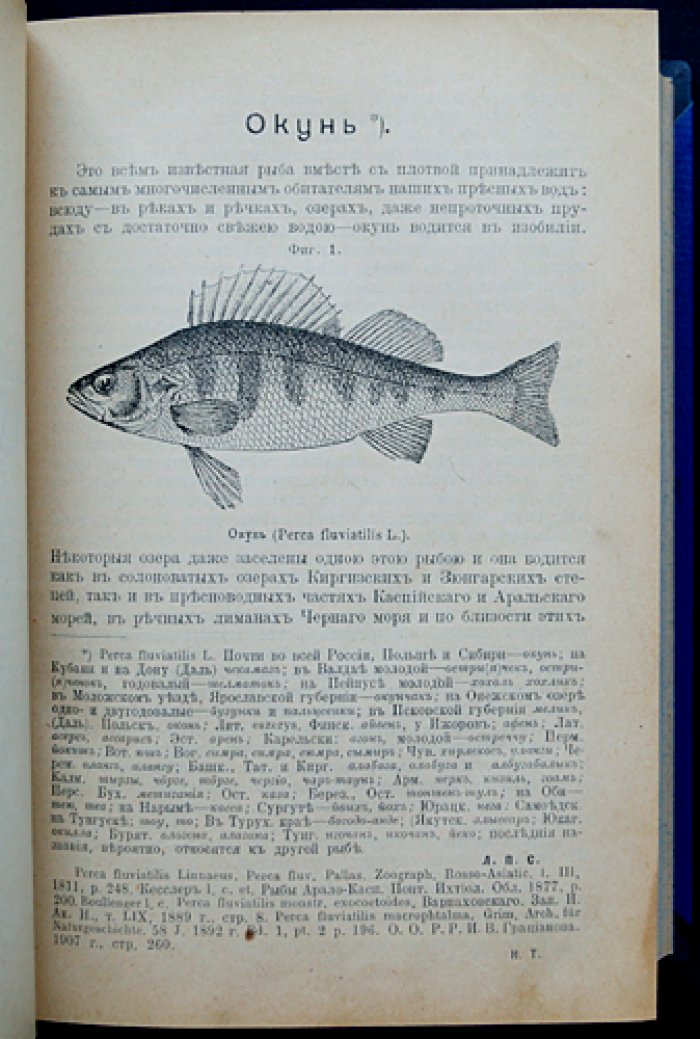 Рыбы России. Жизнь и ловля (уженье) пресноводных рыб (3-е издание, 1911)