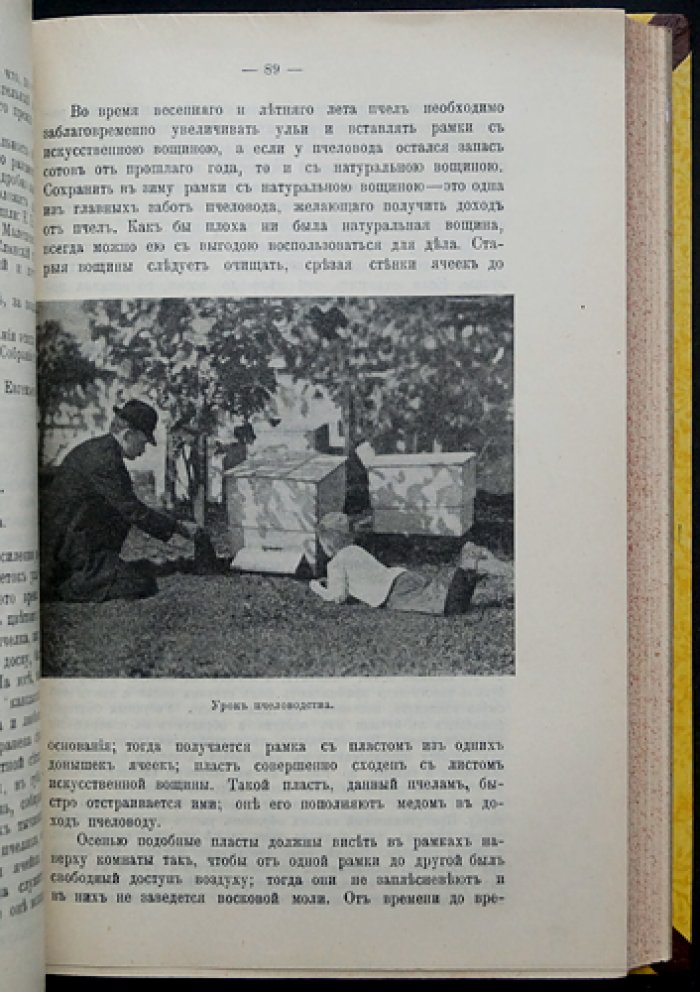 Вестник Русского общества пчеловодства: полный комплект за 1911 год (12 номеров, сквозная пагинация)