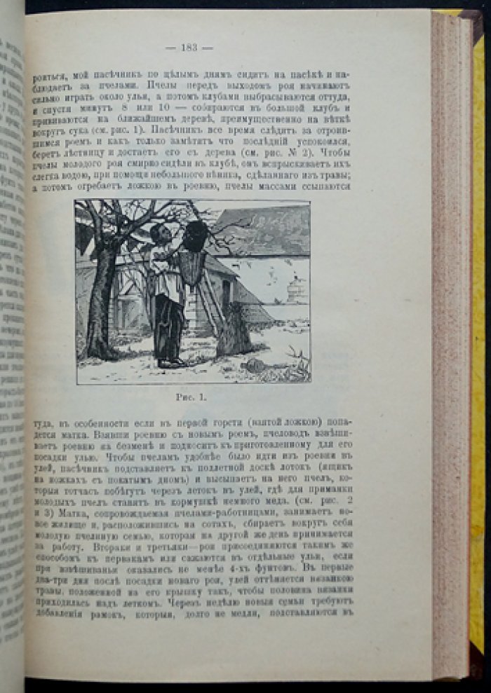 Вестник Русского общества пчеловодства — полный комплект за 1904 год (12 номеров)