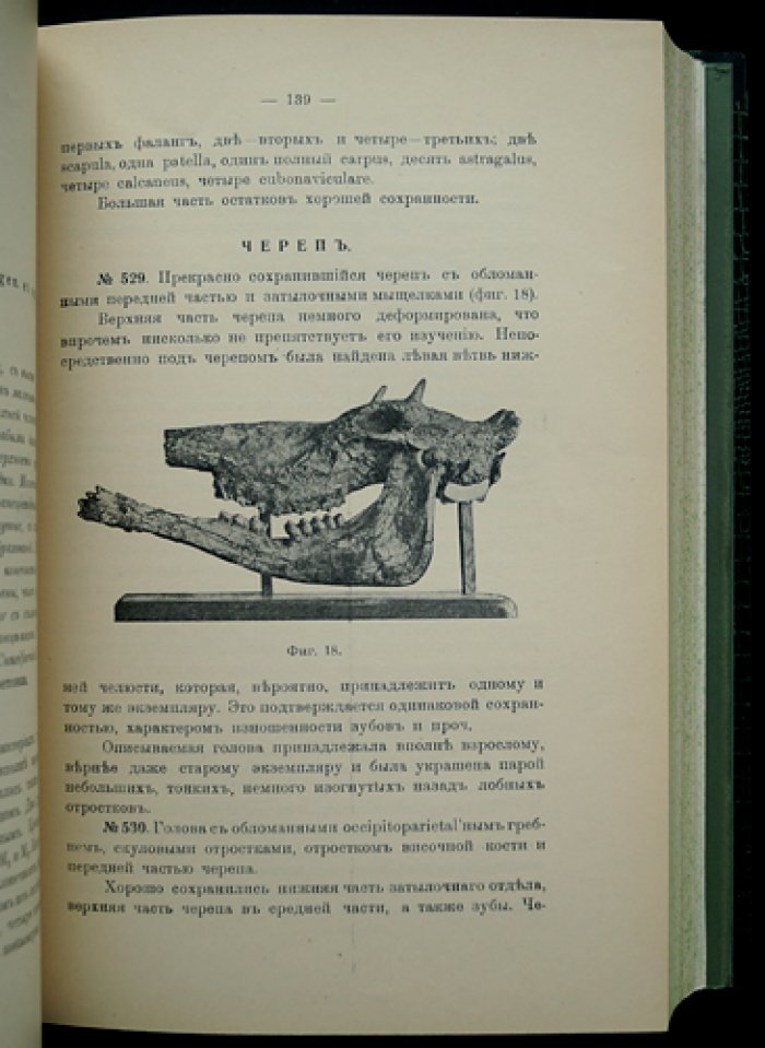 Фауна позвоночных деревни Ново-Елизаветовки (редкое малотиражное издание, Одесса, 1915)