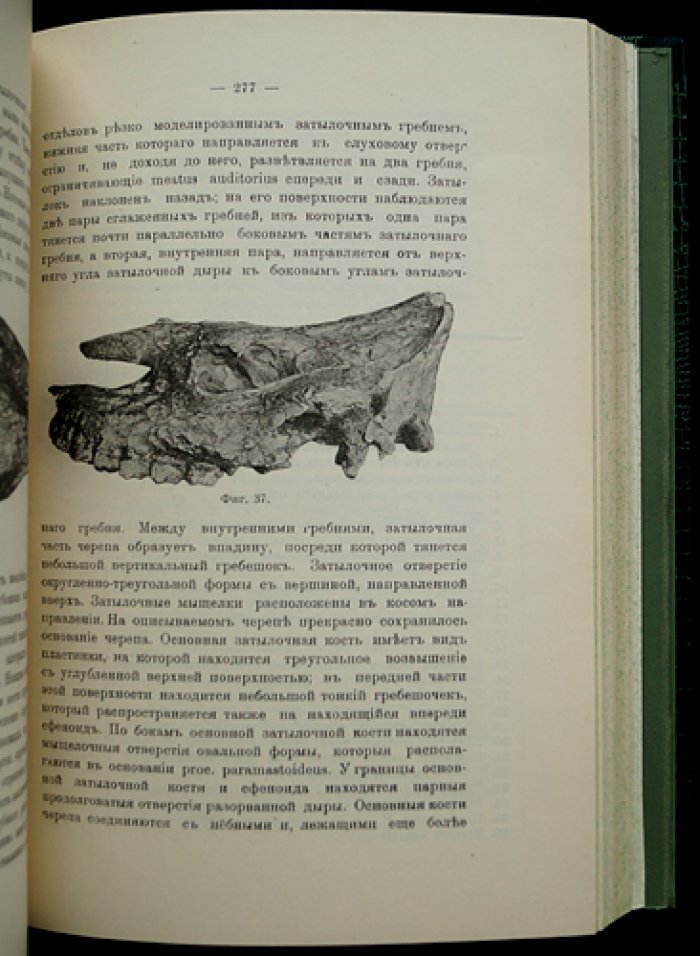 Фауна позвоночных деревни Ново-Елизаветовки (редкое малотиражное издание, Одесса, 1915)