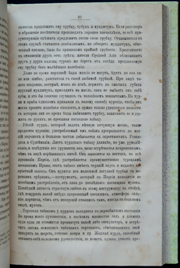 Очерки и картины восточных нравов. Этнографические заметки о мусульманском Востоке (1877)
