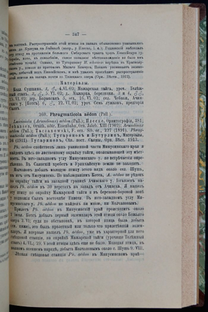 Птицы Минусинского края, Западного Саяна и Урянхайской земли (выпуск XIII, 1914)