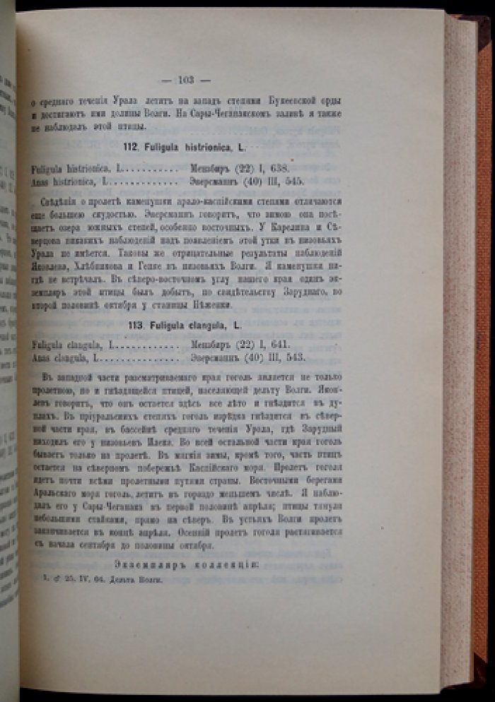 Орнитологическая фауна Арало-Каспийских степей. Научный труд В. Н. Бостанжогло (1911)