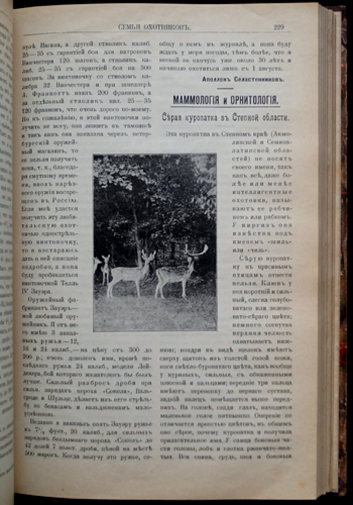 Журнал «Семья охотников»: полный комплект (подшивка) за 1908 год. Редактор-издатель А.А. Торсков