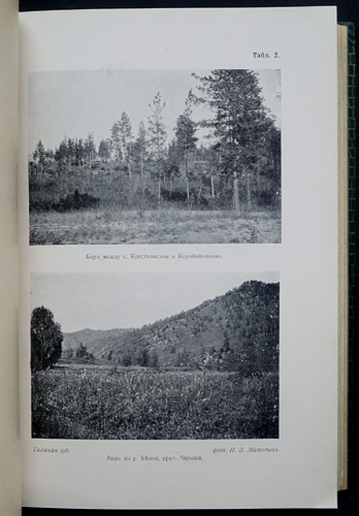 Ботанические исследования в Сибири и Туркестане (1913). Предварительный отчет