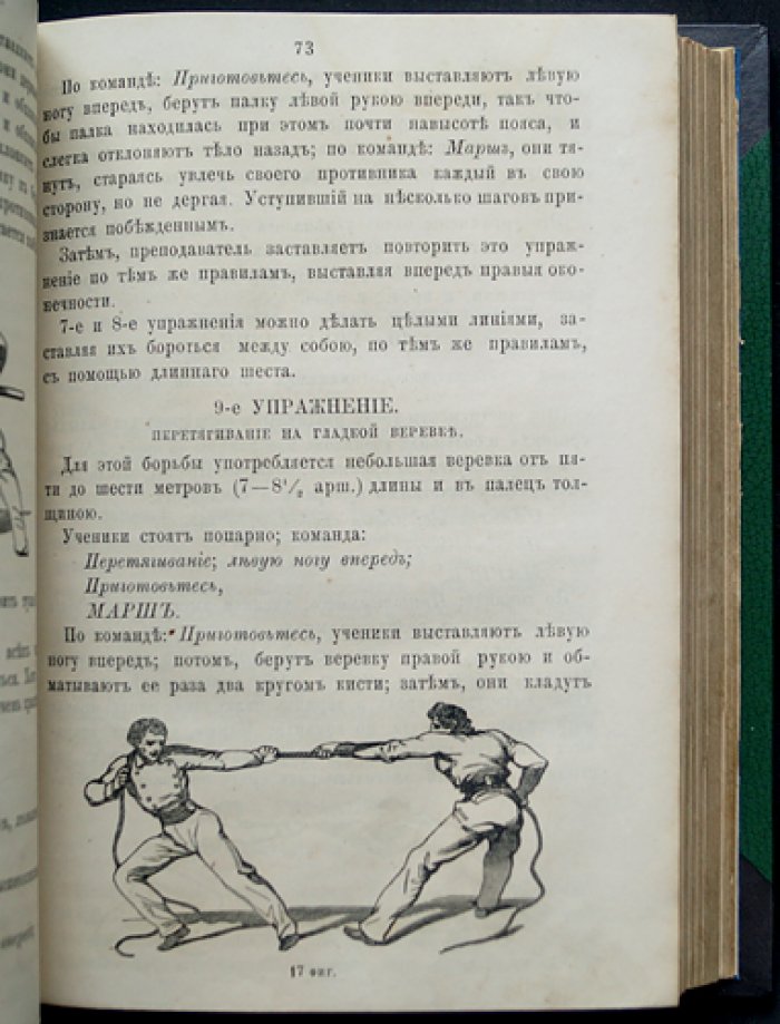 Практическая гимнастика Наполеона Лэне: руководство к постепенным упражнениям (400 уроков, 156 рисунков)