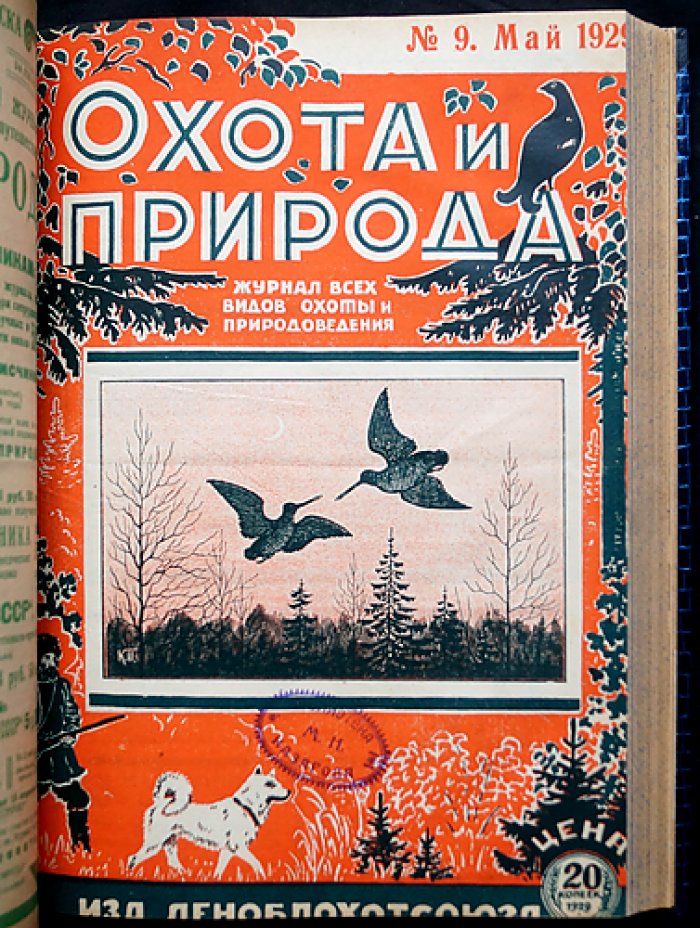 Охота и природа: двухнедельный журнал охоты и природоведения. Полный комплект за 1929 год (24 номера)
