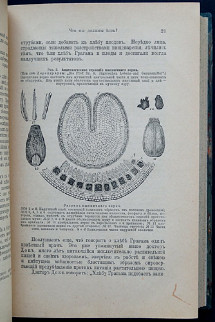 Новый способ лечения. Настольная книга для здоровых и больных: руководство по лечению «целебными силами природы» (в трех томах)