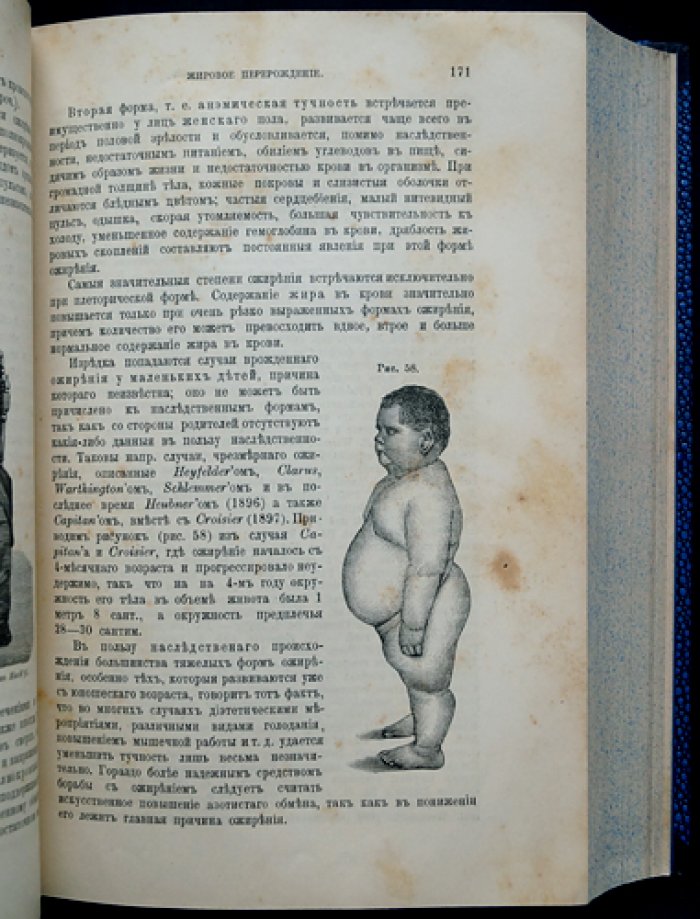 Основы общей и экспериментальной патологии: 3-е издание, существенно переработанное и дополненное