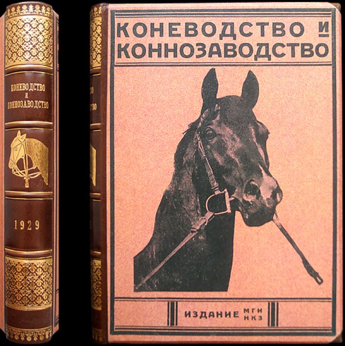 «Коневодство и коннозаводство»: журнал 1929 г., № 52–77