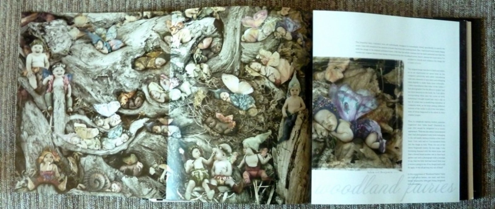 Anne Geddes. A Labor of Love. An Autobiography. / Энн Геддес. Труд любви. Автобиография.