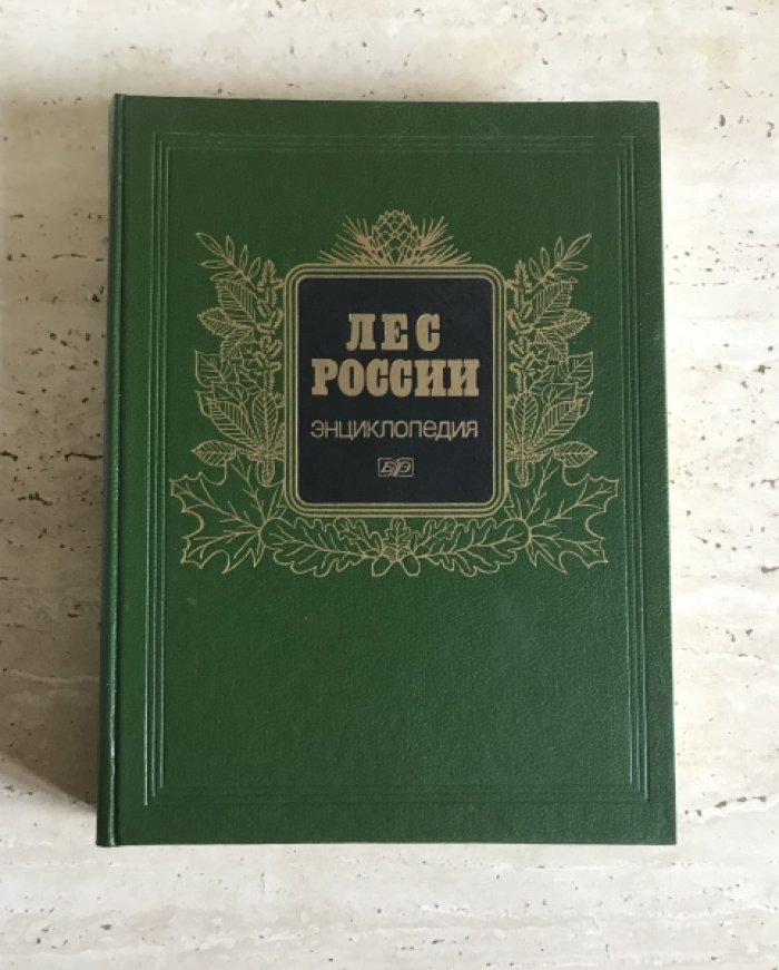 Лес России.