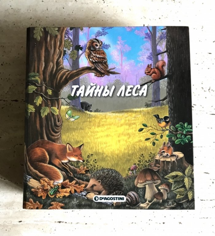 Тайны леса.