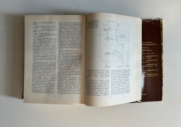 Думитру И., Ротару М., Теодору Г.К. и др. Физиология и патофизиология воспроизводства человека.