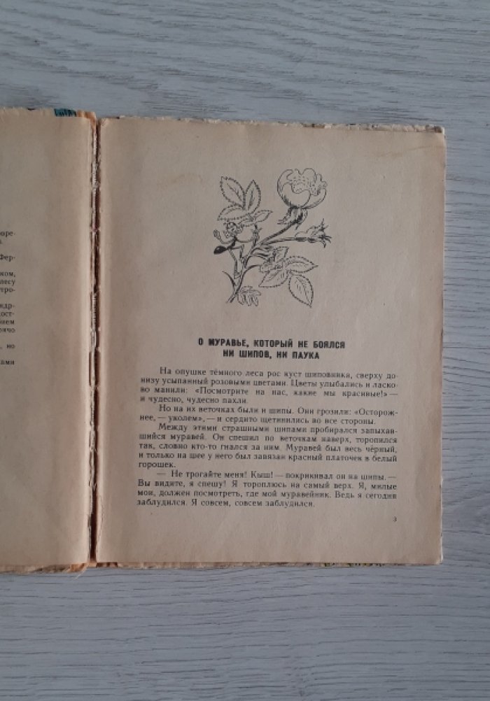 Секора О. Муравьи не сдаются.