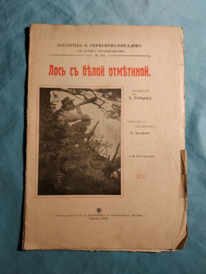 Лось с белой отметиной.