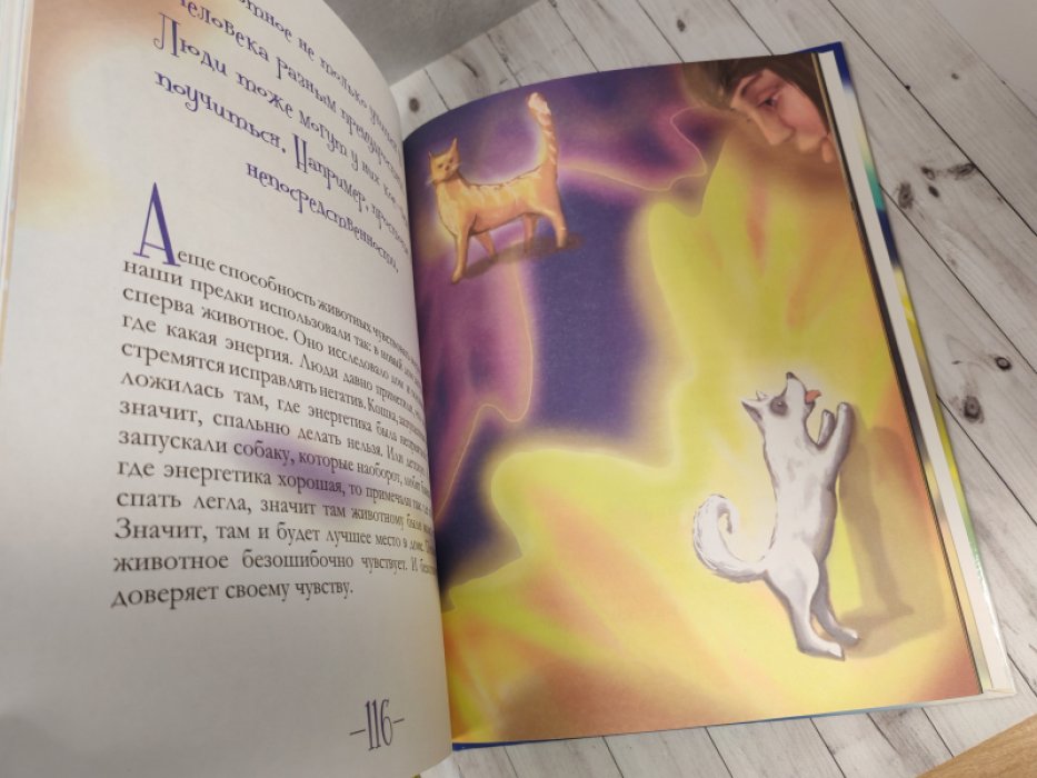 Эниология для детей: мысли, поступки и мир вокруг нас
