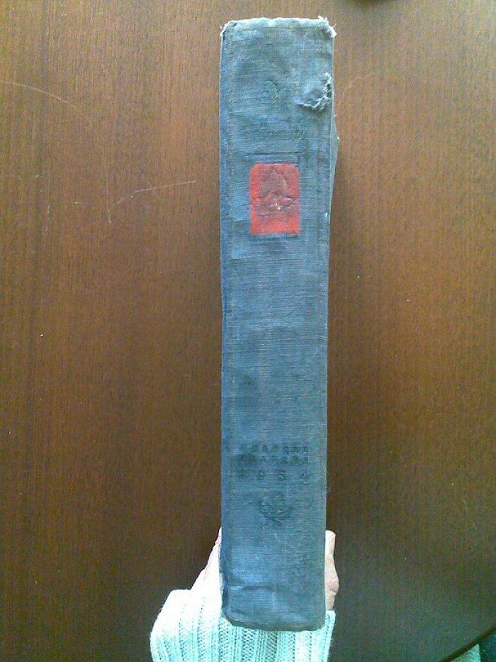 Книга вожатого.