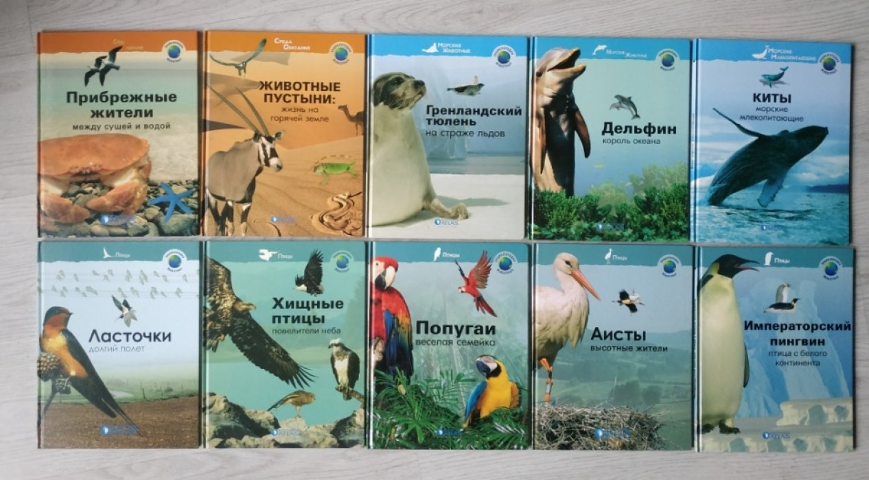 Серия: Энциклопедия животных ( 35 книг ).