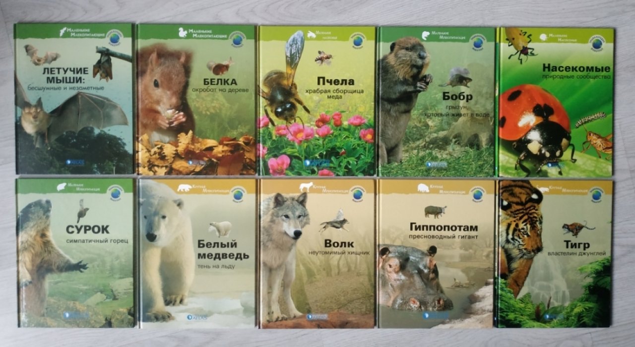 Серия: Энциклопедия животных ( 35 книг ).