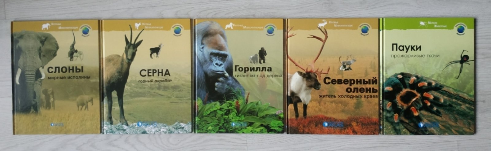 Серия: Энциклопедия животных ( 35 книг ).