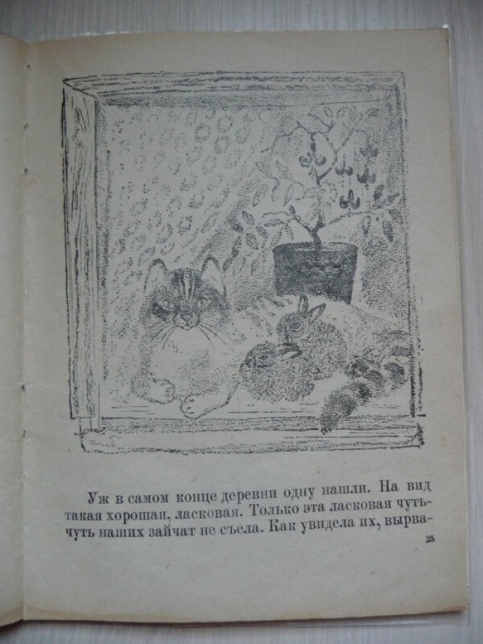 Чарушин Е. Никитка и его друзья.
