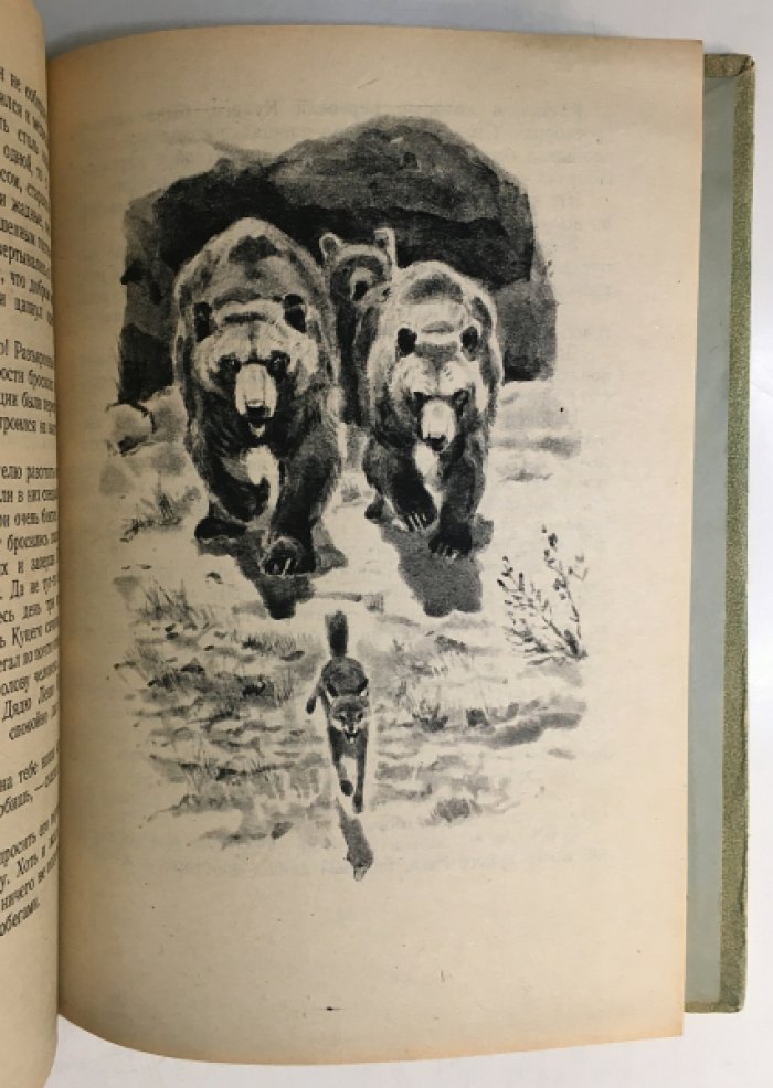 Чаплина В. Четвероногие друзья.