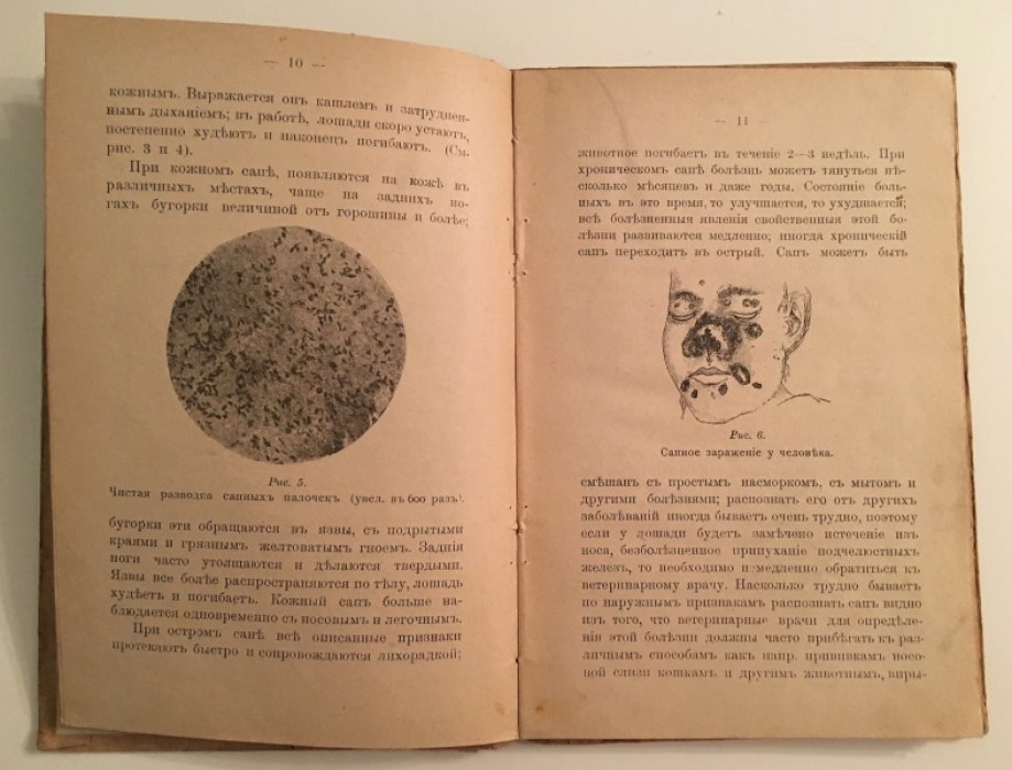 Галкин М.А. Практический скотолечебник.