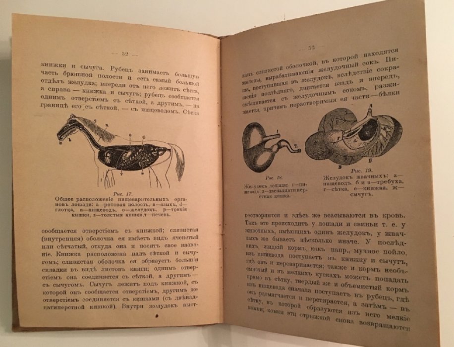 Галкин М.А. Практический скотолечебник.